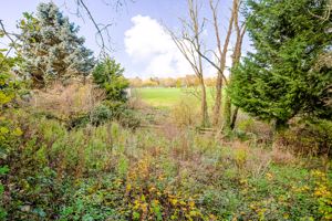 Additional land- click for photo gallery